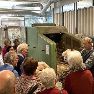 Betten Reiter – Filzmaschine