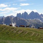 Wanderwoche in Neustift bei Brixen