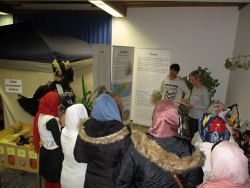 Ausstellung