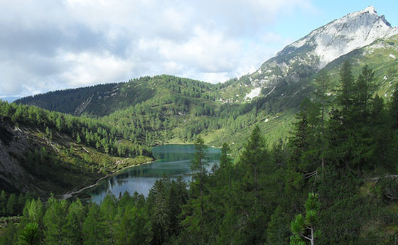 Dem Leben auf der Spur - Bergtage