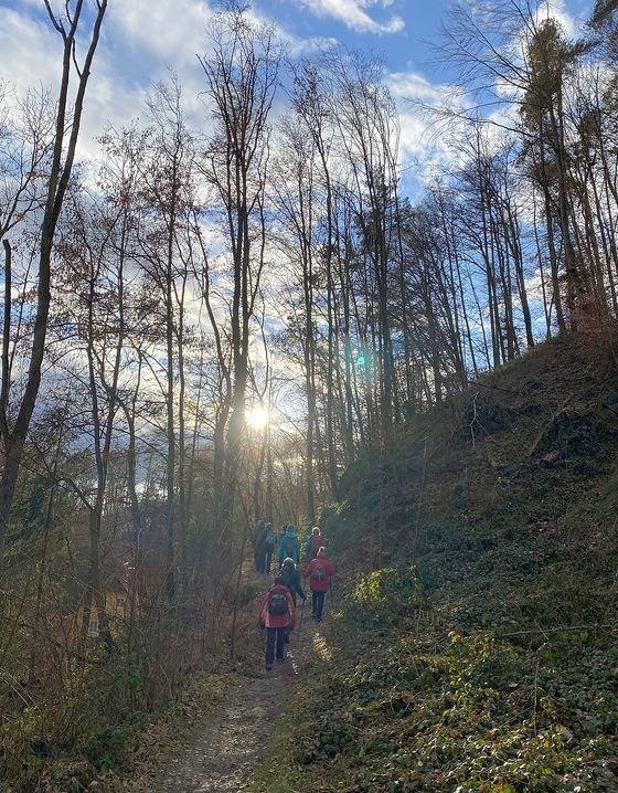 WinterWandern 2022 - dem Licht zu