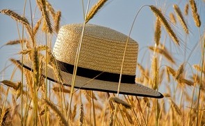 Ein Hoch auf die Pause