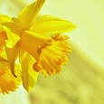 Ostern / © congerdesign / www.pixabay.com CC0 1.0 Ostern