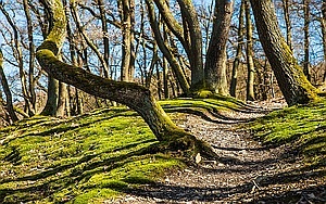 Entspannung pur