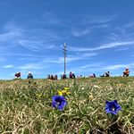 Wanderwoche in Neustift bei Brixen
