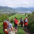 Pilgern ist für viele Menschen heilsames Gehen / © Christine Dittlbacher Pilgern ist für viele Menschen heilsames Gehen