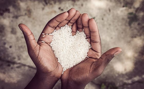Hands holding rice
