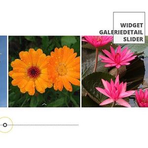 Galeriedetail Slider