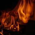 Feuer und Flamme. 