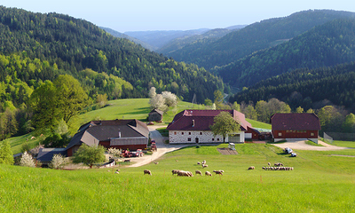 Jugendlager Steinöckerhaus