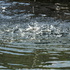 Wasser plätschert in ein Gewässer. 